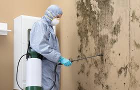 Best Residential Mold Inspection & Testing  in Tarboro, NC